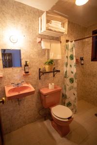 uma casa de banho com um WC, um lavatório e um chuveiro em Casa Venus em San Cristóbal de Las Casas