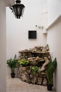 pared de piedra con plantas y TV en la pared en Casa Venus, en San Cristóbal de Las Casas