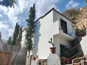 ein weißes Haus mit einem Zaun und einem Baum in der Unterkunft Casa en el valle de GuainosAltos in Adra
