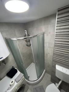 Novi GradDelete 44的带淋浴、马桶和水槽的浴室