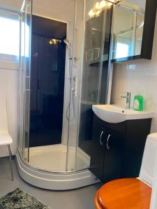 a bathroom with a shower and a sink at comfortable apartment in a quiet area in the city center in Skien