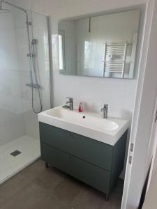 une salle de bain avec un lavabo, un miroir et une douche dans l'établissement Maison 100m2 4 chambres avec piscine jardin paysage, à Gujan-Mestras