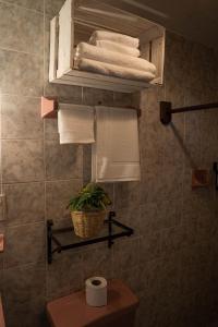 - une salle de bains pourvue de serviettes sur une étagère au-dessus des toilettes dans l'établissement Casa Venus, à San Cristóbal de Las Casas