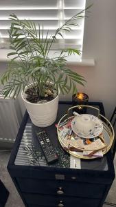 a potted plant on a table with a remote control at Capewell Gibson House in Rotherham