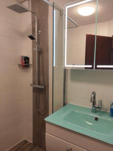 a bathroom with a sink and a shower with a mirror at Apartment "Lavendel Garten" in Klein-Winternheim