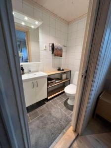 een badkamer met een toilet, een wastafel en een spiegel bij Geilotunet - Perfekt beliggenhet, sentralt, langs elven, 6 personer in Geilo