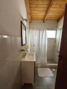 a bathroom with a shower and a sink and a tub at ALBANTA Lago Puelo in Lago Puelo