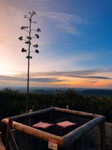 a bed with pillows on it with a tree in the background at Chalé Formoso - Chalé Romântico com Hidromassagem in Serra de São Bento