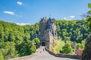 an old castle on a hill with trees at Landhotel Ringelsteiner Mühle in Moselkern