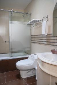 a bathroom with a toilet and a sink and a shower at Hotel Ficoa in Ambato