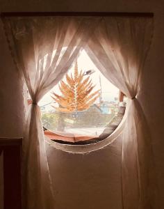 a window with curtains and a tree in the background at RosiesHome in Da Lat