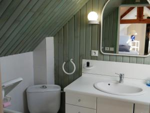 a bathroom with a sink and a toilet and a mirror at Appartement charmant, 3 chambres, centre de Meung-sur-Loire, près de la Loire et du château - FR-1-590-246 in Meung-sur-Loire +15 photos