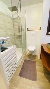 a bathroom with a toilet and a glass shower at Aux vents des rhums au cœur de la Marina du Gosier avec vue imprenable in Pointe-à-Pitre +17 photos