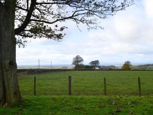 uma árvore num campo ao lado de uma cerca em Torcross Barn em Tarbolton