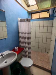 a bathroom with a sink and a toilet and a shower at La Reina del Mar in Drake
