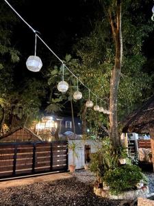 San Felipe的住宿－The Beach House Liwa，挂在围栏旁的树上的一串灯