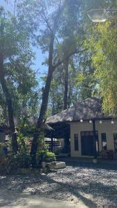 San Felipe的住宿－The Beach House Liwa，树林中茅草屋顶的房子