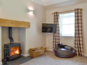 uma sala de estar com um fogão a lenha e uma televisão em Eagles Gate Lodge em Banff