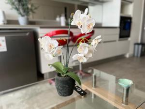 un jarrón negro con flores blancas en una mesa en Apartamento Reñaca Live, en Viña del Mar