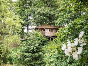 a cabin in the middle of a forest with trees at Bensfield Treehouse in Wadhurst