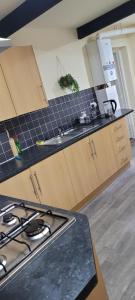 Kuchyň nebo kuchyňský kout v ubytování 13 Decent Homes + 13 fotografií
