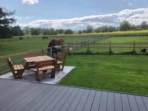 a wooden deck with a bench and a horse in a field at Brewers Cottage in Slaley