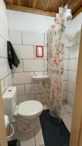 y baño con aseo, lavamanos y cortina de ducha. en HOSTEL DA LÚ en Pirenópolis