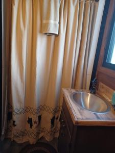 a bathroom with a sink and a shower curtain at Rooterville Animal Sanctuary in Melrose