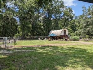 a yurt with a tent in a field at Rooterville Animal Sanctuary in Melrose