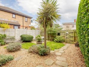a garden with a palm tree and a fence at Ladybird Cottage in Hunstanton