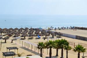 una playa con sombrillas, palmeras y el océano en SottoSopra en Margherita di Savoia