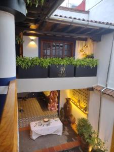 Zahrada ubytování PASEO REAL HOTEL BOUTIQUE