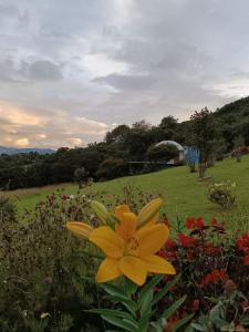 Naturlandschaft in der Nähe der Zelt-Lodge