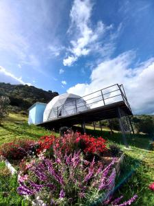 Ein Garten an der Unterkunft Glamping hermoso amanecer