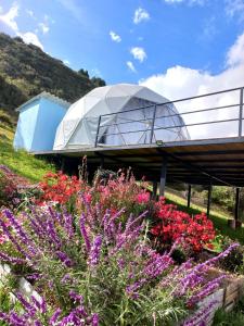 Ein Garten an der Unterkunft Glamping hermoso amanecer