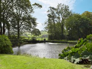 a pond in the middle of a park at The Carthouse - Uk13184 in Cwm-Morgan