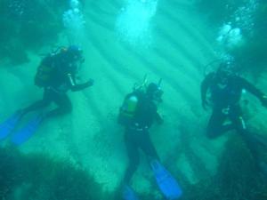 a group of people swimming in the water at Melina Apartment in Loutrópolis Thermís