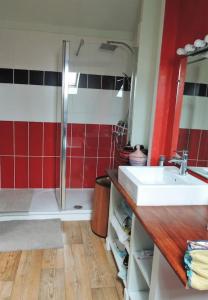 a bathroom with a sink and a shower at La Yonnaise in La Roche-sur-Yon