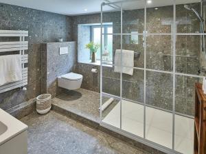 ein Bad mit einer Dusche, einem WC und einem Waschbecken in der Unterkunft Gîte Wittersdorf, 1 pièce, 2 personnes - FR-1-744-13 in Wittersdorf