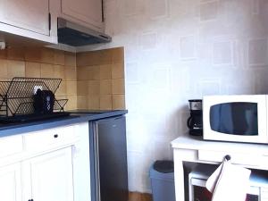 een keuken met een magnetron en een aanrecht bij Studio Albiez-Montrond, 1 pièce, 4 personnes - FR-1-618-37 in Albiez-Montrond
