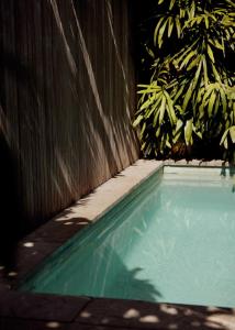 a swimming pool in front of a wooden fence at 28 Degrees Byron Bay - Adults Only in Byron Bay