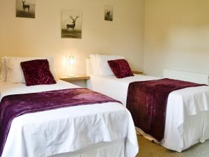 two beds in a room with white and purple sheets at Brae Cottage in Kelton