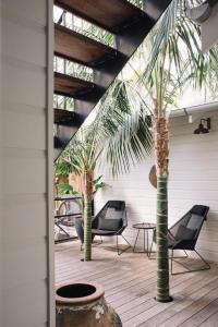 un patio con 2 palmeras y sillas en 28 Degrees Byron Bay - Adults Only, en Byron Bay
