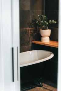 a bath tub in a bathroom with a plant on a shelf at 28 Degrees Byron Bay - Adults Only in Byron Bay
