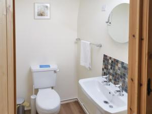 a white bathroom with a toilet and a sink at Bryn Eithin in Moel-tryfan