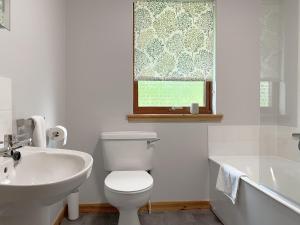 a bathroom with a toilet and a sink and a window at Kintulloch in Insh