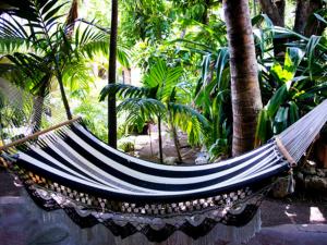 Zahrada ubytování VOLUNTARY & Camping