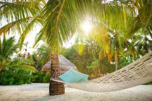 Zahrada ubytování VOLUNTARY & Camping