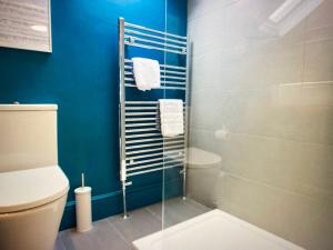 a bathroom with a toilet and a glass shower at Secret View Cottage in Terrington