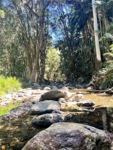 un río con rocas y árboles en un bosque en Oasis of Hope - Guest Wing, en Upper Orara